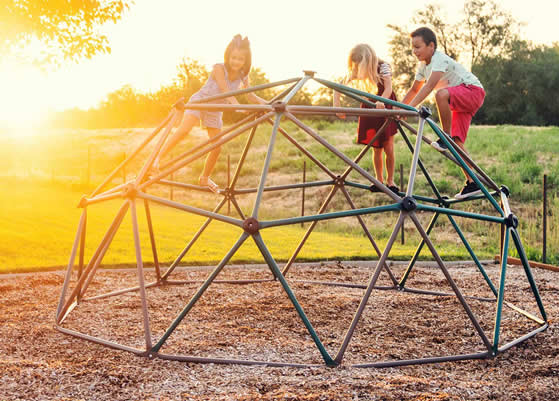 Lifetime Dome Climber With Canopy - Removable Canopy For Climbing Play