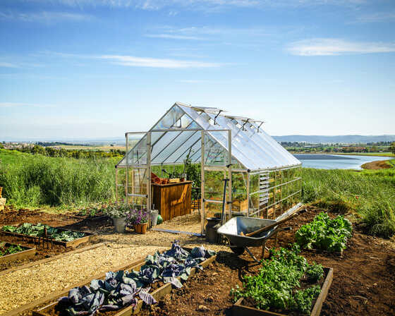 Palram - Canopia Balance 10x16 Greenhouse Kit - Green 