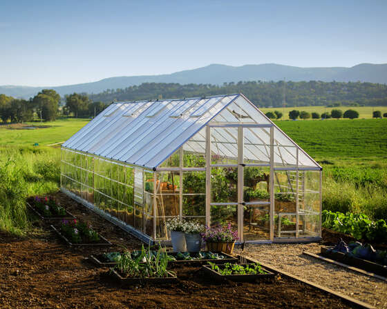 Palram - Canopia Balance 10x28 Greenhouse Kit - Silver 