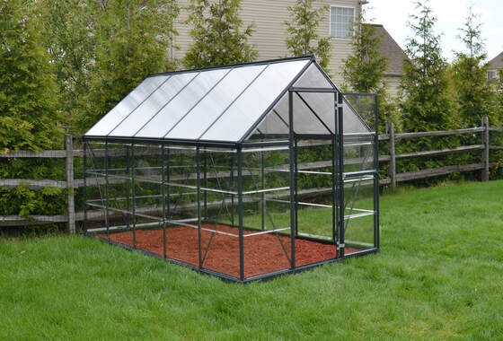 Clear panels maximize sunlight, while the spacious interior and sloped roof create an ideal space for plants to thrive.