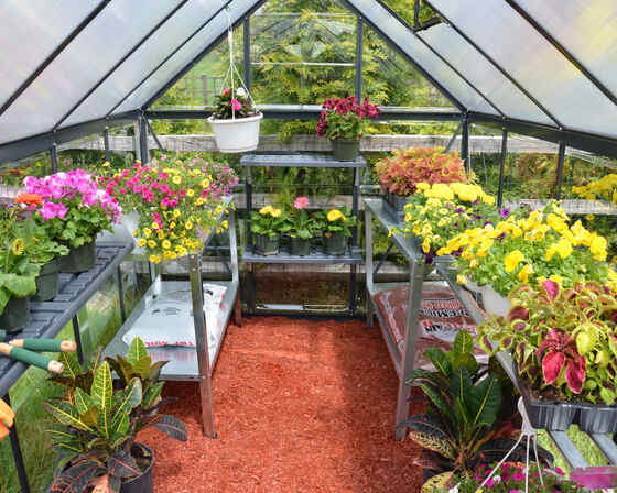Spacious Interior for Growing More Plants with Ease 