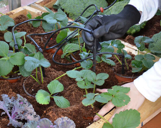The drip irrigation kit delivers controlled, even watering to help plants thrive.