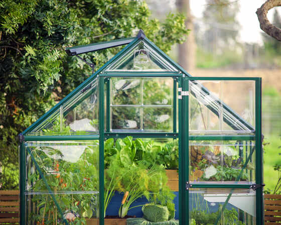 Wide front door provides easy access to the greenhouse interior.