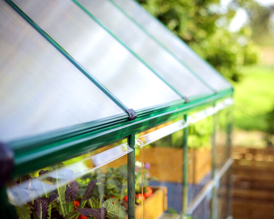 Durable polycarbonate panels provide excellent light transmission and UV protection.